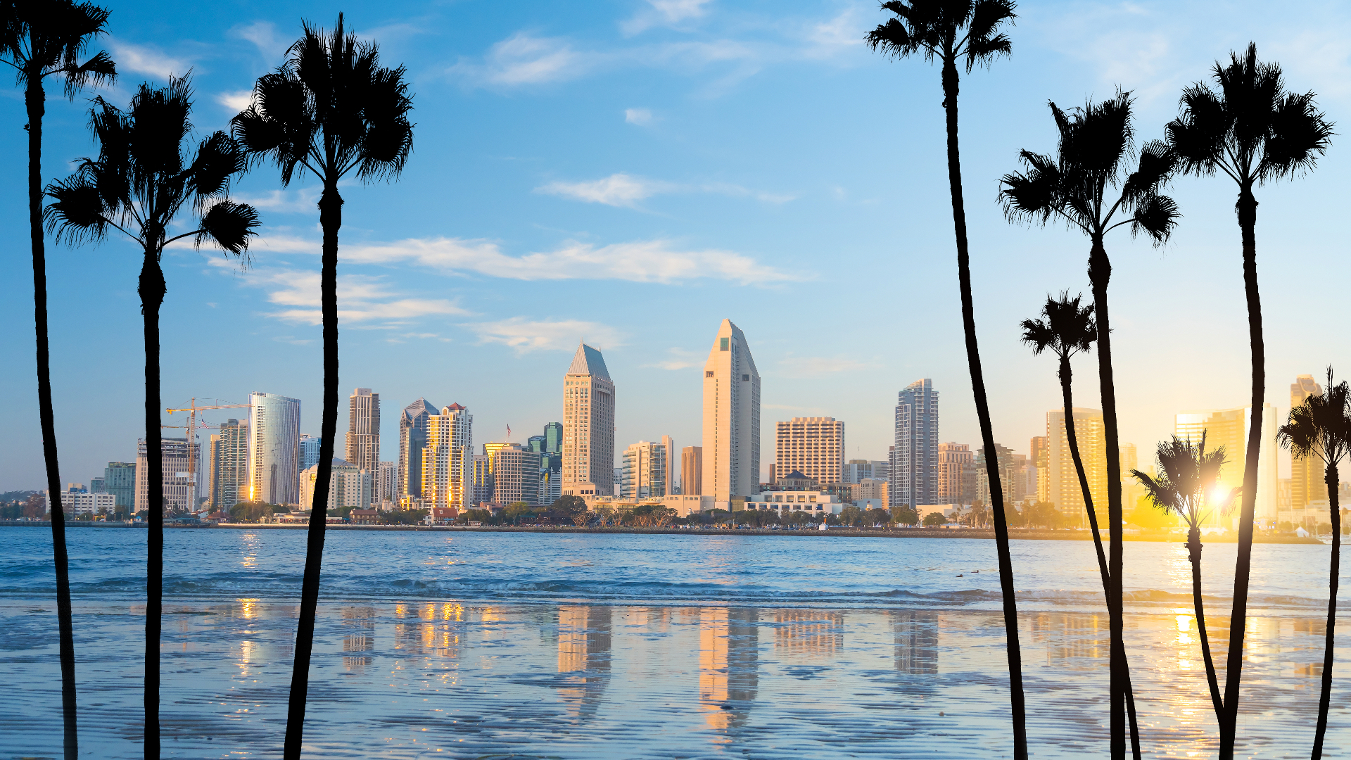 Answer Engine Optimization San Diego